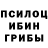 Галлюциногенные грибы Psilocybine cubensis NL Trick