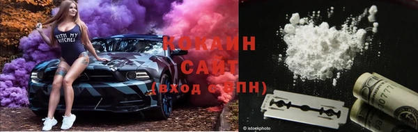 гидра Покачи