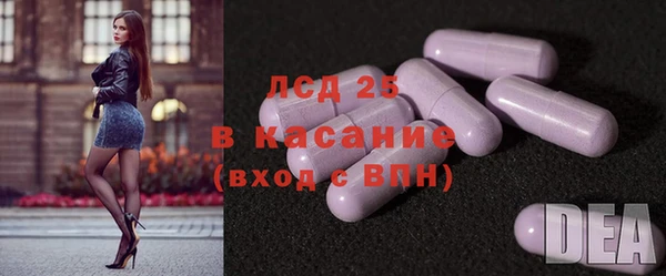 индика Балабаново