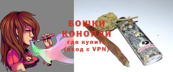 индика Балабаново