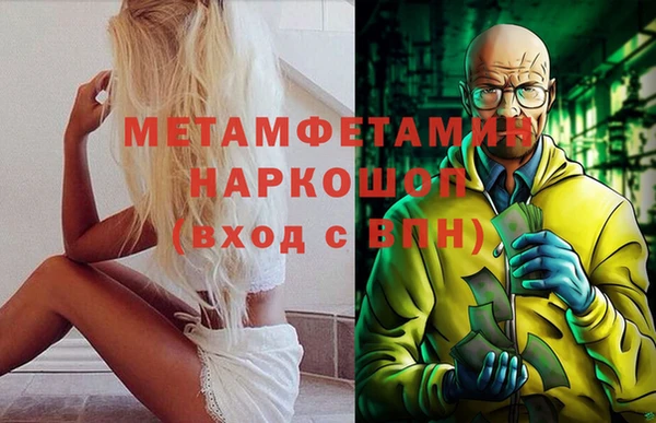 индика Балабаново