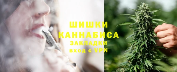 индика Балабаново