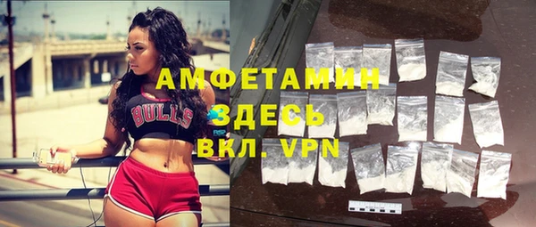 индика Балабаново