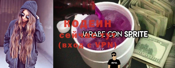 индика Балабаново